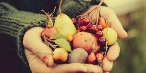 صحتنا في غذائنا.. هذه هي المأكولات الملائمة لفصل الخريف
