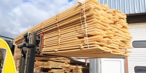 جابر بن سديرة: قطاع الخشب يسجل رقم أعمال يصل إلى 300 مليون دولار