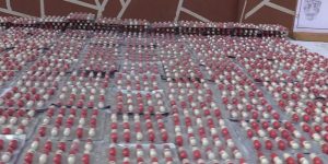 الوادي : حجز 75 ألف قرص من المؤثرات العقلية باسطيل 