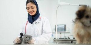 تربية الحيوانات في الجزائر.. بين الشغف وثقافة الاعتناء