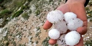 سطيف.. تعويض 29 فلاحا متضررا بسبب تساقط حبات البرد