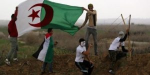 الفلسطينيون والثورة الجزائرية.. في بلادي كل ما فيها كبيرا