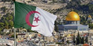 على مبادئ ثورة نوفمبر المجيدة .. فنانون جزائريون يناصرون القضية الفلسطينية العادلة