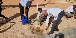 “من أجل مدينة خضراء”.. مبادرة تطوعية بالنعامة  