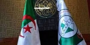 توقع بلوغ مكانة مرموقة عالميا.. “سناباب”: خطوات جبارة لقطاع التعليم العالي نحو الرقي العلمي والإداري