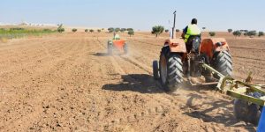 سيدي بلعباس.. تراجع في نسبة الأراضي الفلاحية المستهدفة بحملة الحرث