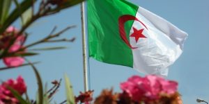 العلم الوطني الجزائري.. ألوان ثلاثية مجدَت عزة شعب وتاريخ أمة كُتب بالدم