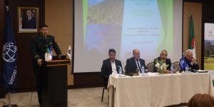 المديرية العامة للغابات.. سلسلة من التوصيات من أجل تسير مستدام للغابات