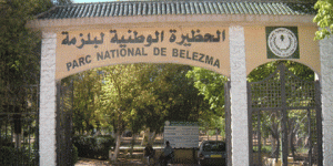 “بلزمة”.. تنوع نباتي، حيواني وثروة من الآثار النادرة