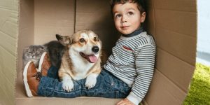 لصحة نفسية أفضل.. رَبِّ كلباً لا قطاً!