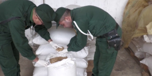 الدرك الوطني بتيارت يتمكن من حجز أكثر من 150 قنطار من مادة القمح اللين المدعم