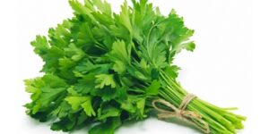 صحتنا في غذائنا.. البقدونس صيدلية طبيعية