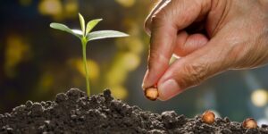 أسس مُزوالة أمورِ الدين والدنيا