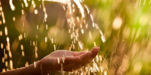 سنريهم آياتنا في الآفاق.. المطر نعم وعبر