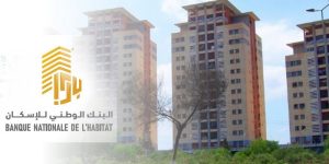 بنك الإسكان لتمويل سكنات lpl والطرقات