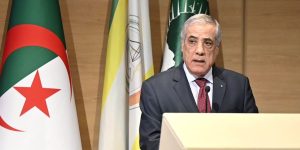 رؤية الرئيس تبون تعطي الأولوية للبعد التنموي لتثبيت معالم السلم والاستقرار في إفريقيا