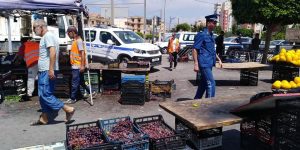 البليدة.. حملة واسعة لوضع حد للتجارة غير الشرعية على حواف الطرقات