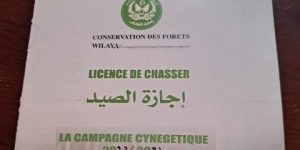 قالمة.. الترخيص بممارسة الصيد البري للمنخرطين في 10 جمعيات معتمدة