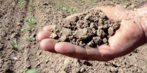 معسكر.. تعويض فلاحين متضررين من الجفاف