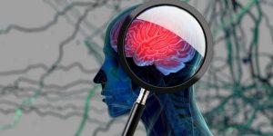 دراسة كندية تكشف.. بروتين “طبيعي” في أدمغتنا يحمينا من الزهايمر