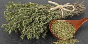فوائد متعددة للزعتر في علاج أنواع السعال.. إليك أضراره المحتملة