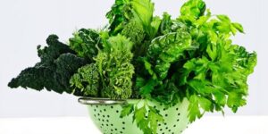 صحتنا في غذائنا.. الفوائد الغذائية للخضروات الورقية