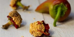 صحتنا في غذائنا.. ماذا يحدث لجسمك عند تناول بذور الفلفل؟