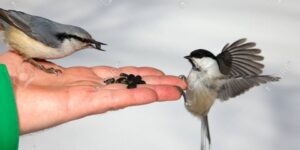 الراحمون يرحمهم الرحمن