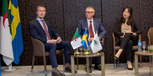 السويد مهتمة بالعديد من قطاعات الاستثمار في الجزائر