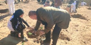 معسكر.. غرس 6 آلاف شجيرة بمحيط سد بلدية الشرفة