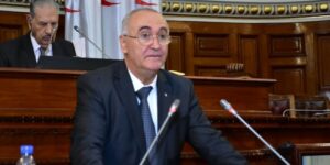 قانون المالية لسنة 2024 يحافظ على القدرة الشرائية للمواطن.. فايد: صب الزيادات الجديدة في الأجور جانفي القادم