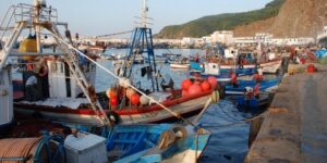 عنابة.. ورشة تكنولوجية خاصة بنشاط ومهن الصيد البحري