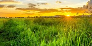 سنريهم آياتنا في الآفاق.. الَّذِي جَعَلَ لَكُمُ الْأَرْضَ فِرَاشًا