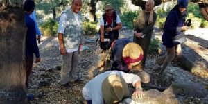 البعثة الجزائرية – الإيطالية للبحث الأثري تختتم أعمالها