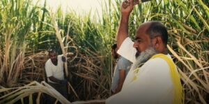 الأيام السينمائية لفيلم التراث بالعاصمة.. تتويج فيلم “الزيج” من سلطنة عمان