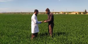 الفلاحون يتجاوبون مع عملية الإحصاء العام للفلاحة