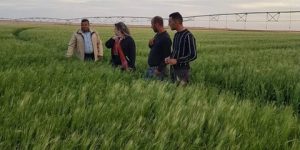 الإحصاء العام للفلاحة ينطلق اليوم