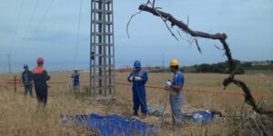 البيض.. نحو ربط 38 منطقة ريفية وتوسعة سكنية بشبكة الكهرباء