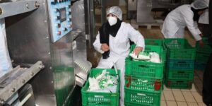 جيجل تستفيد من حصة إضافية من مسحوق الحليب موجهة لإنتاج أكياس الحليب المدعم 