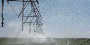 عين الدفلى.. تخصيص 9 ملايين متر مكعب من المياه للري التكميلي للحبوب