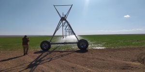 البيض.. منح أزيد من 240 هكتار من الأراضي الفلاحية للإستثمار