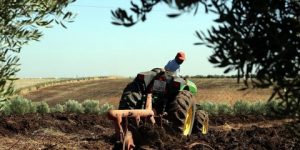 البليدة.. دعم متزايد لمهنيي الفلاحة الجبلية 