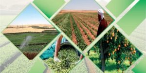 يوم برلماني حول العقار الفلاحي هذا الخميس