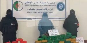 سيدي بلعباس: تفكيك شبكة إجرامية منظمة وحجز 33 كلغ من الكيف المعالج 