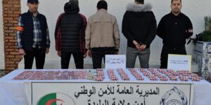 شرطة البليدة.. الإطاحة بشبكتين إجراميتين مختصتين في ترويج المؤثرات العقلية