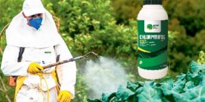 منع استعمال مبيد “كلوربيريفوس” في المحاصيل الزراعية