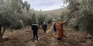 قطب فلاحي واعد ببلدية الرشايقة في تيارت