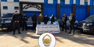 شبكة تروج مخدرات في قبضة أمن البيض