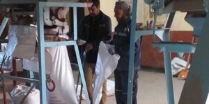 الجلفة.. الشروع في توزيع مادة الشعير العلفي على الموالين الأحد المقبل