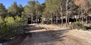 منذ بداية سنة 2024.. فتح أزيد من 60 كلم من المسالك الغابية بميلة